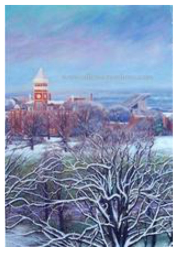 Clemson Winter