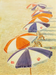 “ Clem-sun Row”