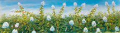 “Summer Snowballs “