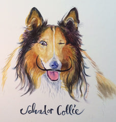 "Salvadore Collie"