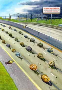 Hurricane Floyd - A Snail of a Mess