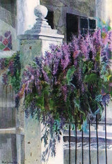 Wisteria