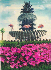 "Flamingos and Pineapple Fountain"