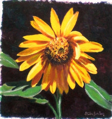 "Sunflower" SOLD